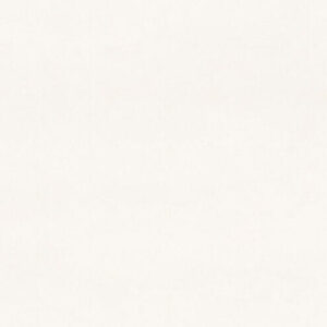 Blizzard